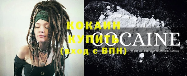 шишки Карталы