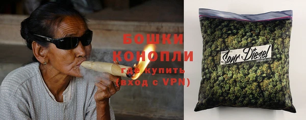 крисы Касимов